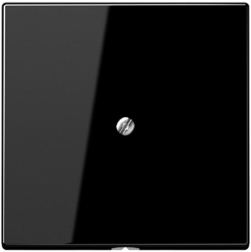 Вывод кабеля без рамки Jung LS990 черный картинка